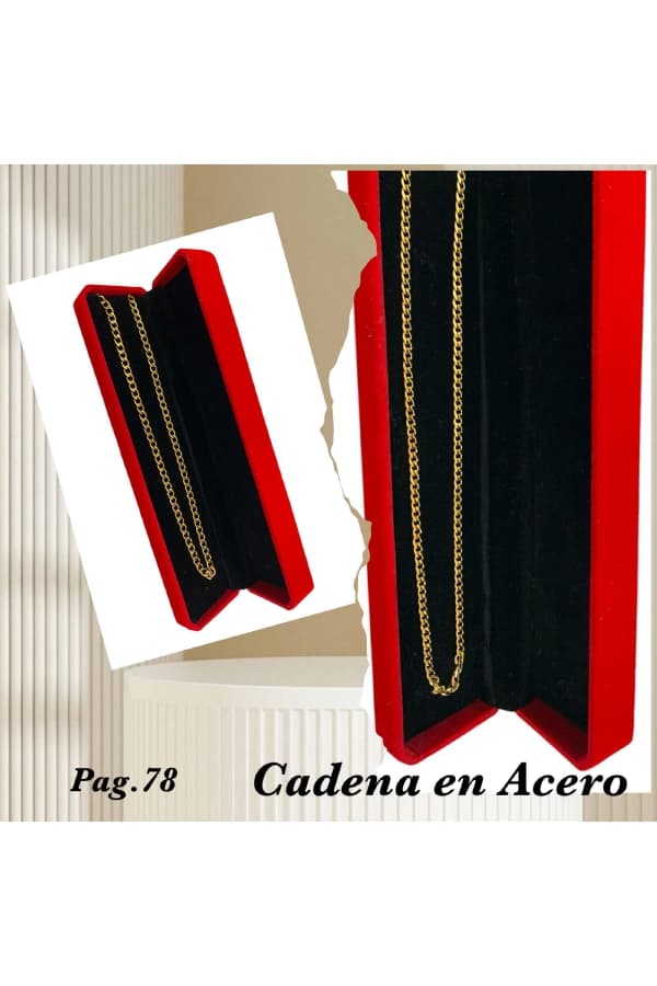 Pagina 78 2010 Cedena en Acero